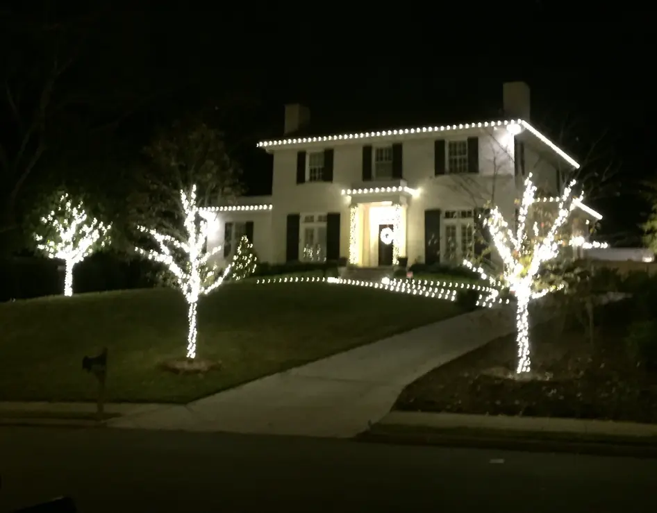 Illuminated trees and pathway lights at a decorated home